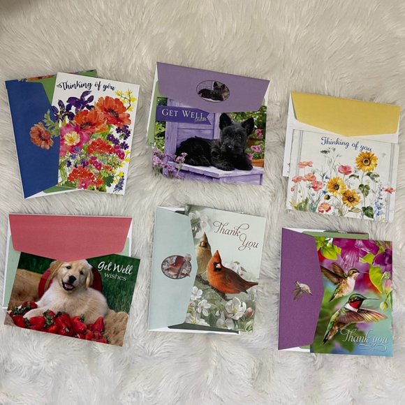 6 Assorted Greeting Cards Animals & Flowers  matching print envelopes - Picture 1 of 14